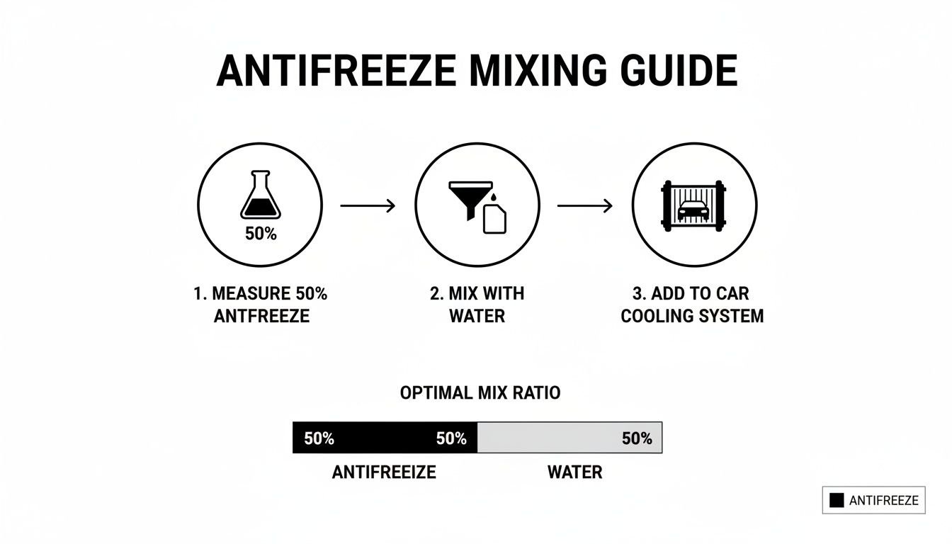 A detailed guide on mixing antifreeze with water for a car cooling system, showing a 50/50 ratio.