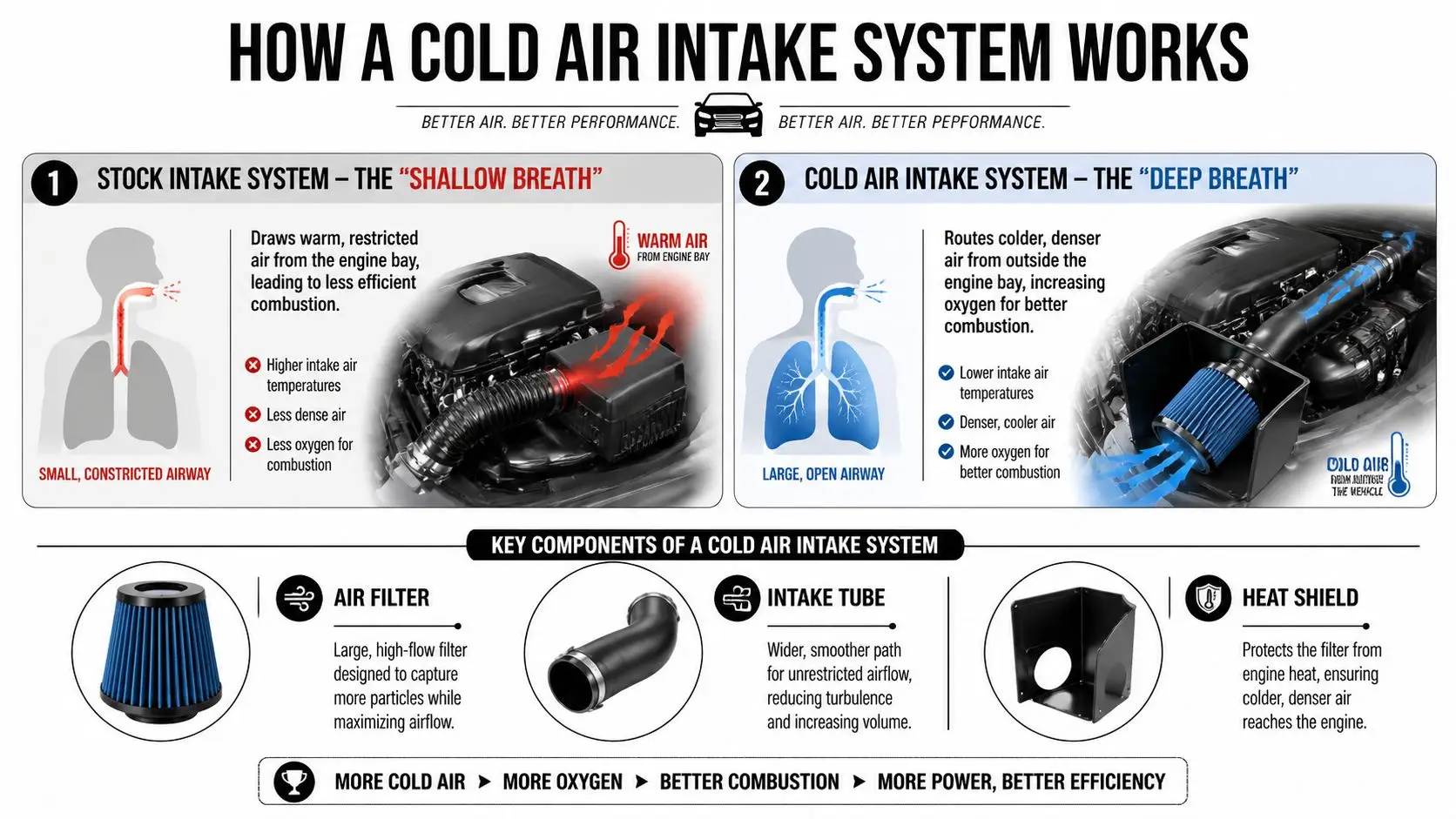 An infographic illustrating how a cold air intake system improves engine performance compared to stock intake systems.